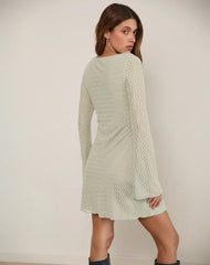 Sevila Long Sleeve Mini Dress in Mesh Sage Mini ZigZag
